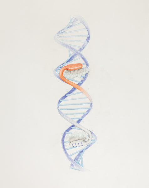 DNA/POSTER, 2015